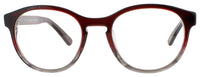 Harry Lary Harry Lary Optical Glasses BROWN/PURPLE