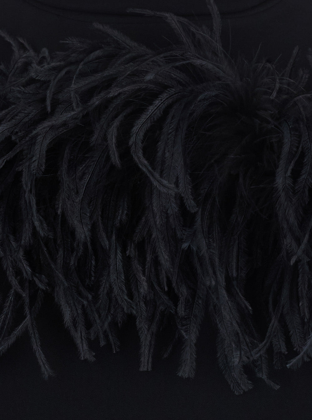 P.A.R.O.S.H. Women Black Dress With Bow On The Back And Feathers In Tech Fabric For Women