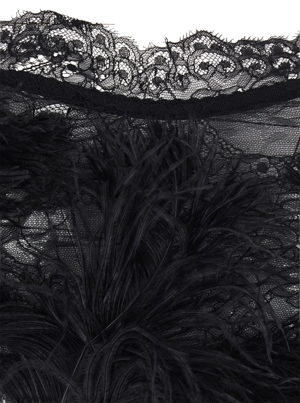 The Attico Women Embroidered Ostrich Feathers On Lace