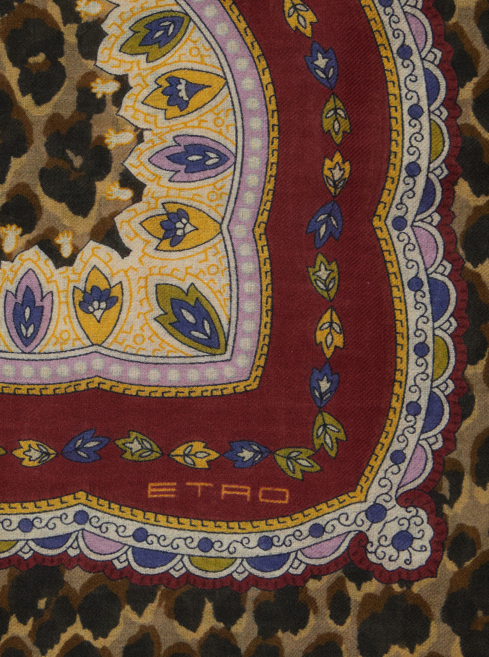 Etro Women 'Aida' Multicolor Scarf With Logo Lettering And All-Over Print In Modal And Cashmere For Women
