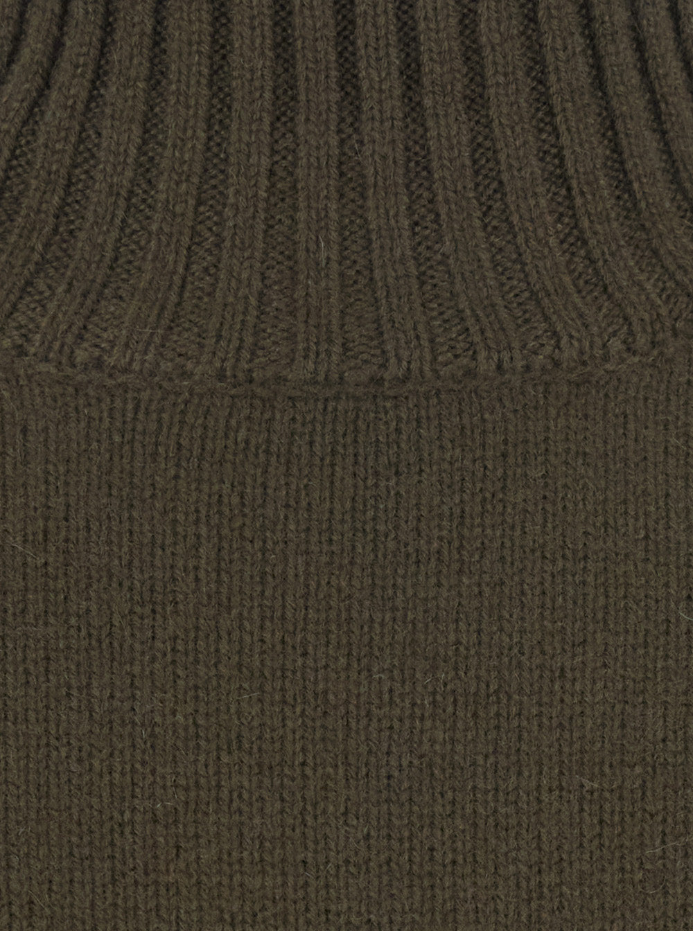 Leplain Women Green Sweater With Mock Neck In Cashmere For Women