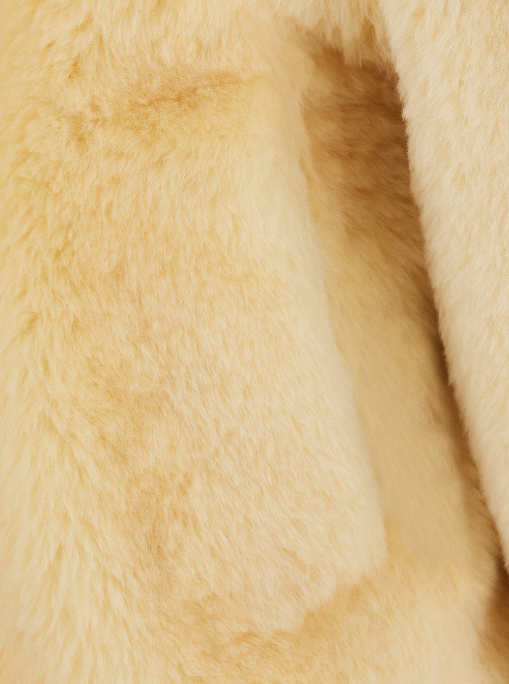 Bottega Veneta Women Teddy Straight Shearling Blouson Leather Details