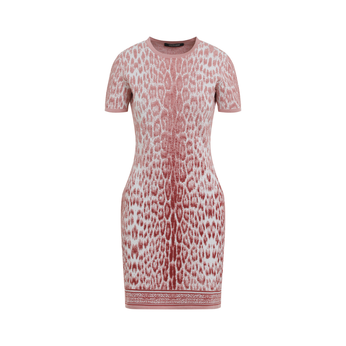 Roberto Cavalli Jaguar Print Dress Women