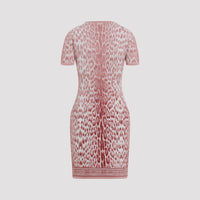Roberto Cavalli Jaguar Print Dress Women