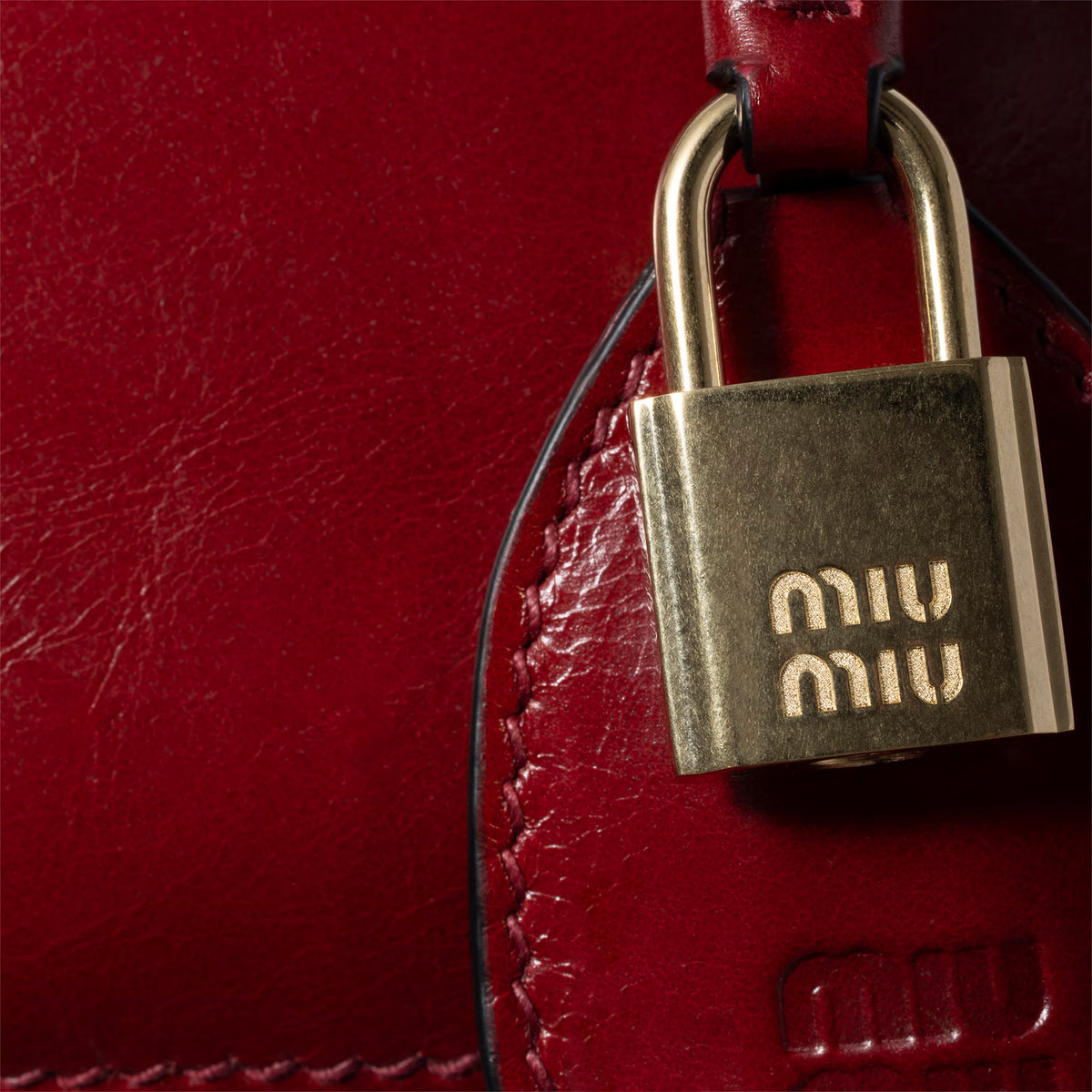 Miu Miu Vivant Leather Mini Bag Women