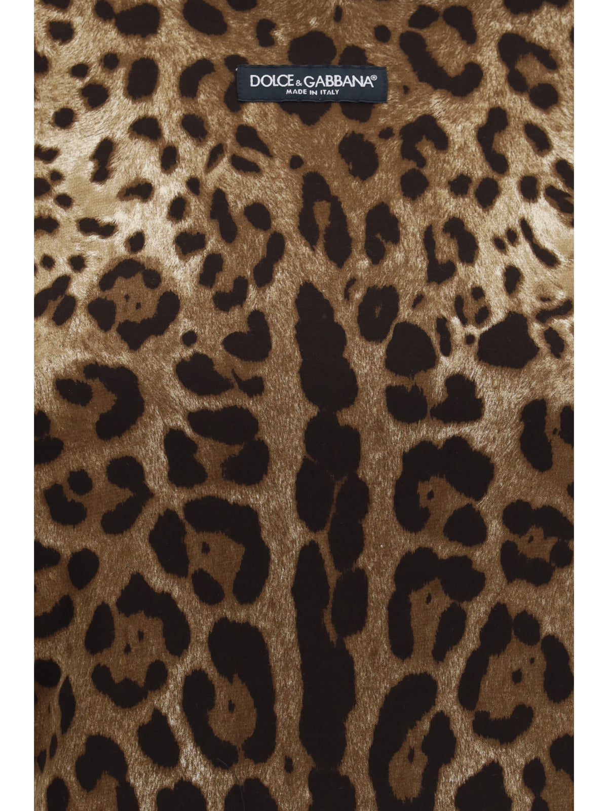 Dolce & Gabbana Women Leopard-Print Cropped T-Shirt