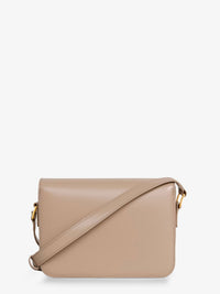 Celine Women Teen Triomphe Leather Crossbody Bag