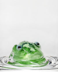 Kosta Boda Kosta Boda New Friends Frog Tumbler