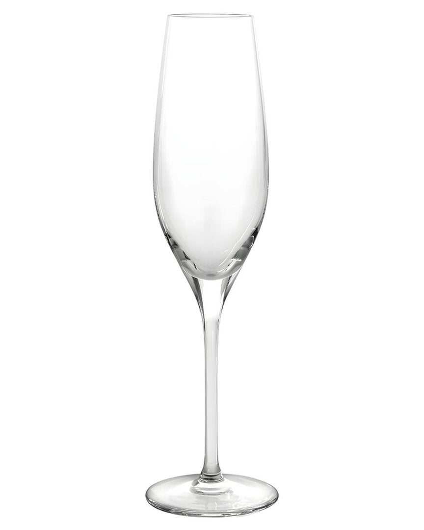 Ivv Vizio Set Of 6 Flutes
