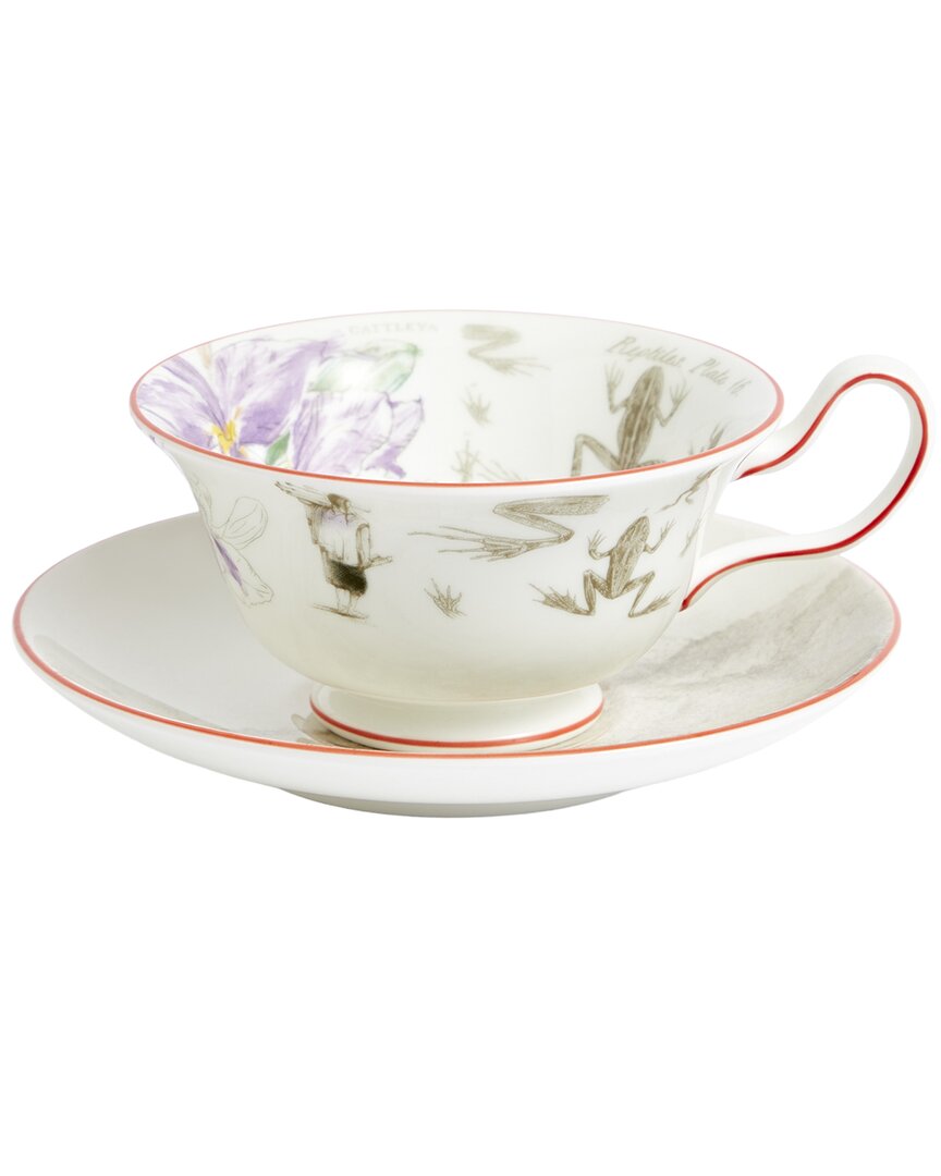 Wedgwood 3Pc Darwin Voyage Of The Beagle Brazil Teacup, Saucer & Plate Set