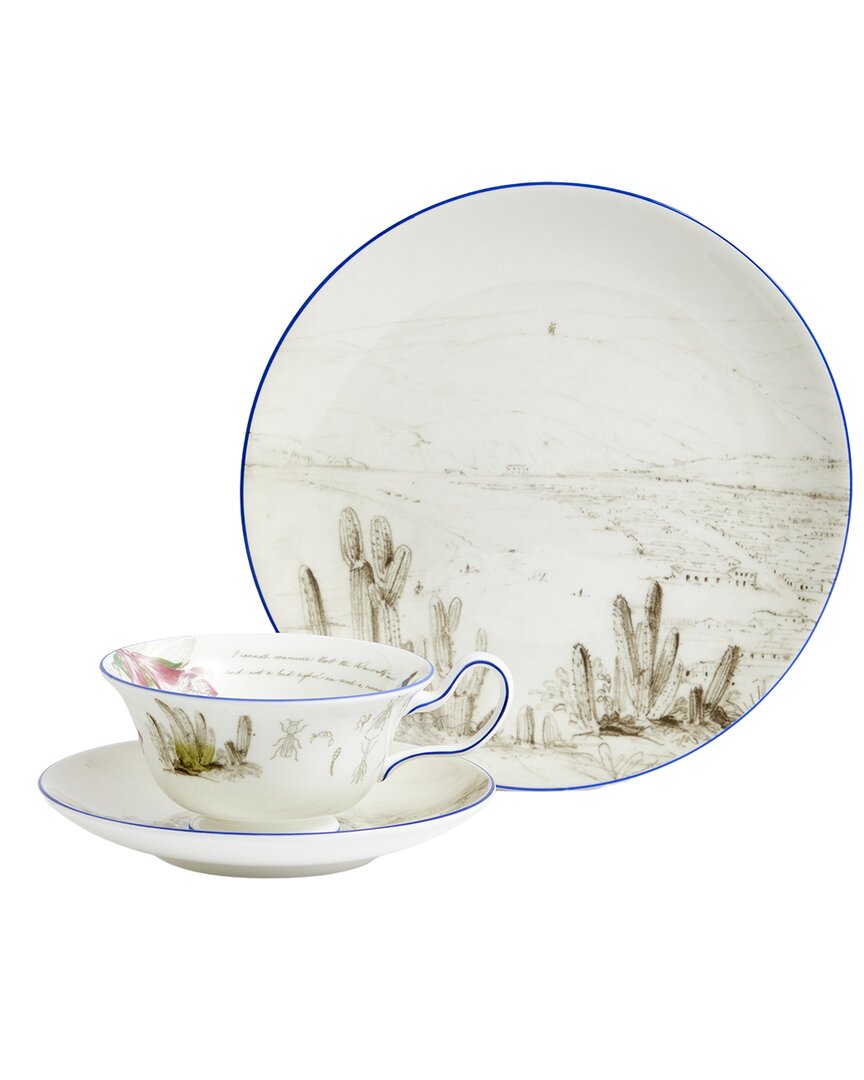 Wedgwood 3Pc Darwin Voyage Of The Beagle Chile Teacup, Saucer & Plate Set
