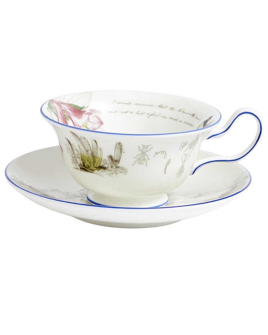 Wedgwood 3Pc Darwin Voyage Of The Beagle Chile Teacup, Saucer & Plate Set