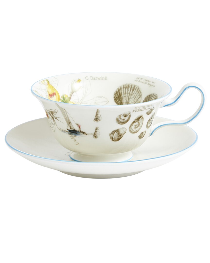 Wedgwood 3Pc Darwin Voyage Of The Beagle Patagonia Teacup, Saucer, & Plate Set