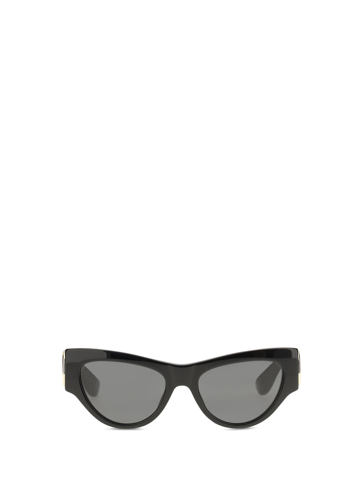 Valentino Garavani Women Vg0053s Cat-Eye Sunglasses