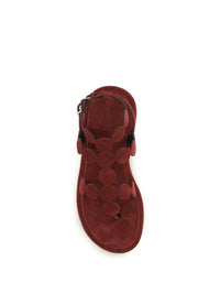 PIERRE HARDY Pierre Hardy Women Suede Sandals