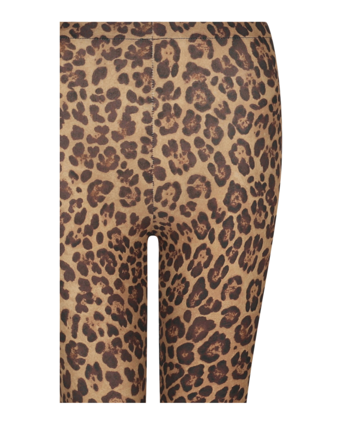 Valentino Valentino Womens Leopard-Print Tights