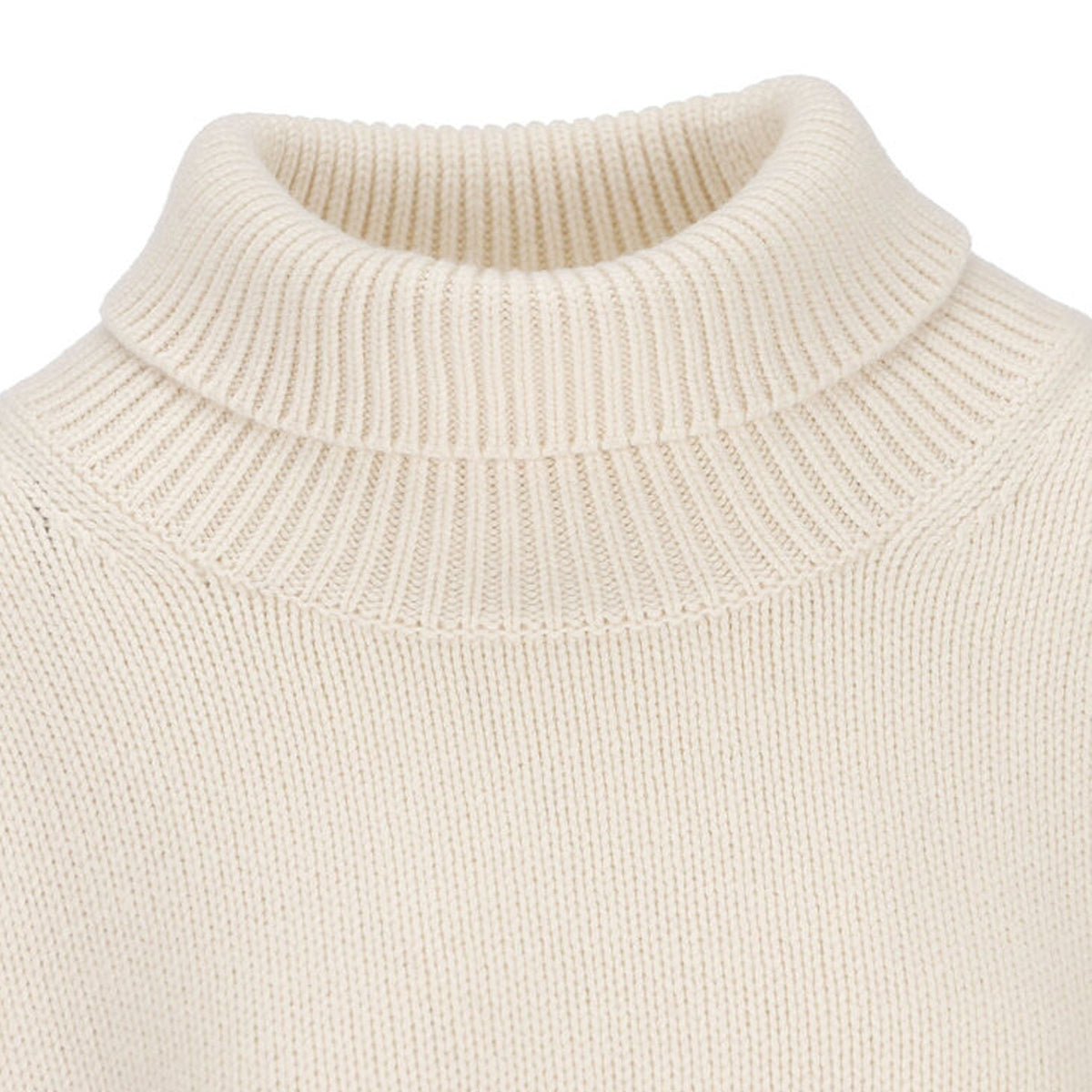 ChloE Chloe Cashmere Turtleneck Sweater Women