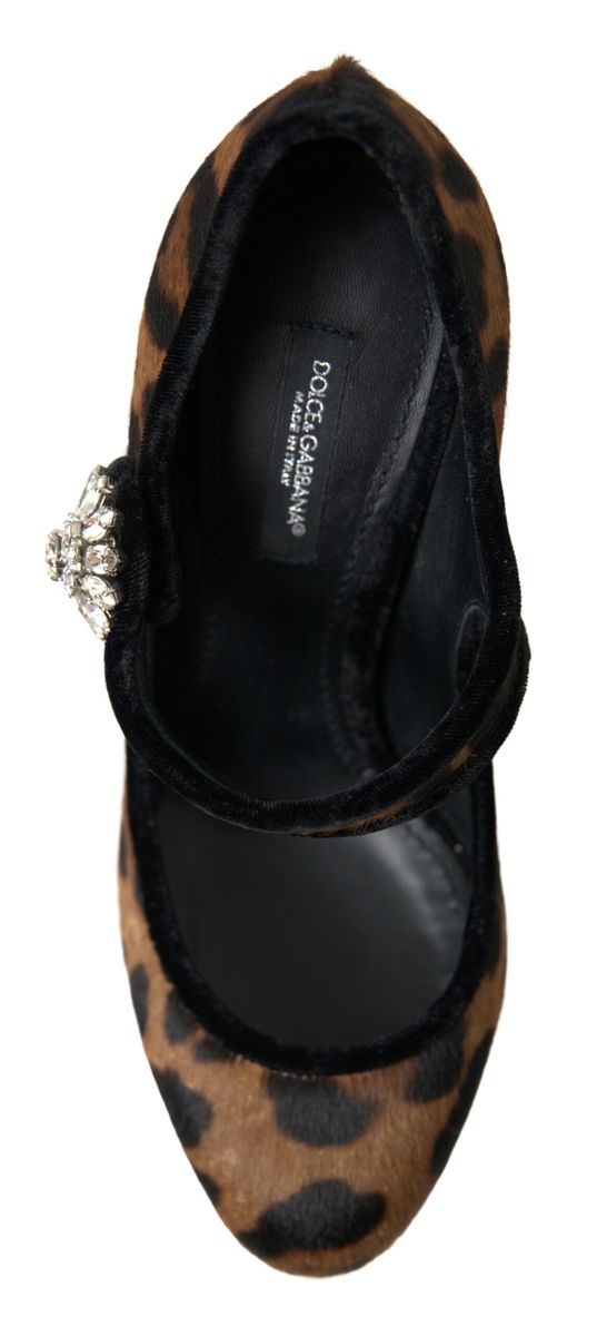 Dolce & Gabbana Elegant Leopard Heel Pumps for Chic Women's Sophistication