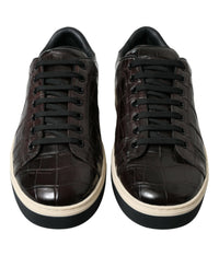 Dolce & Gabbana Brown Croc Exotic Leather Men Casual Sneakers Men's Shoes