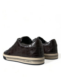 Dolce & Gabbana Brown Croc Exotic Leather Men Casual Sneakers Men's Shoes