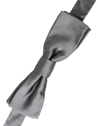 Dolce & Gabbana Dolce & Gabbana Gray Satin Silk Adjustable Neck Men Papillon Bow Men's Tie
