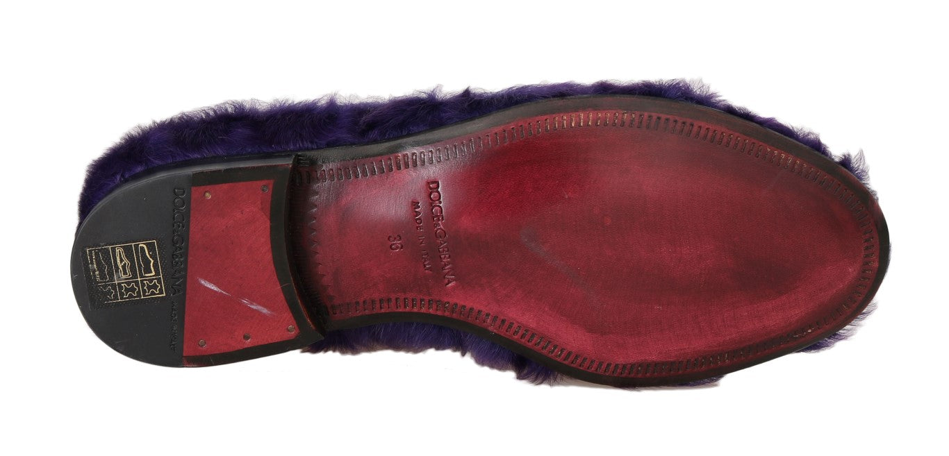 Dolce & Gabbana Dolce & Gabbana Purple Sheep Fur Leather Women's Loafers