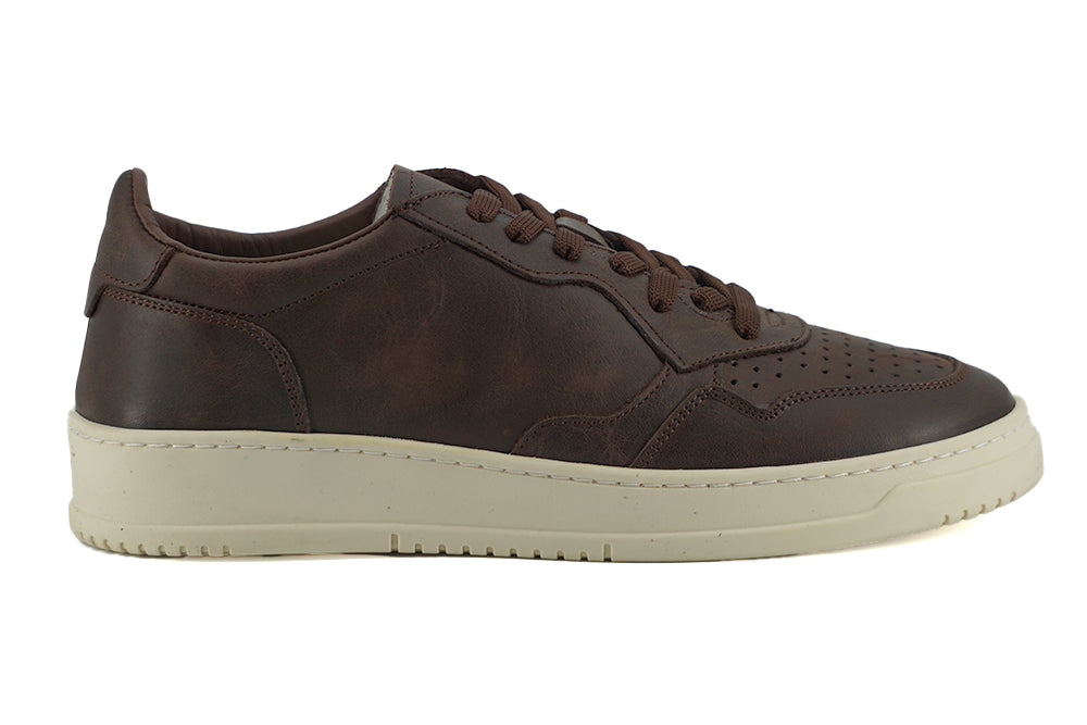 Saxone of Scotland Exclusive Leather Fabric Sneakers in Men's Brown
