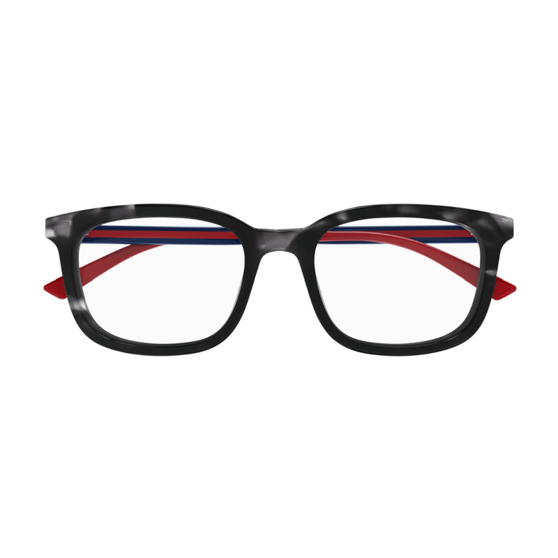, Frame and Lens