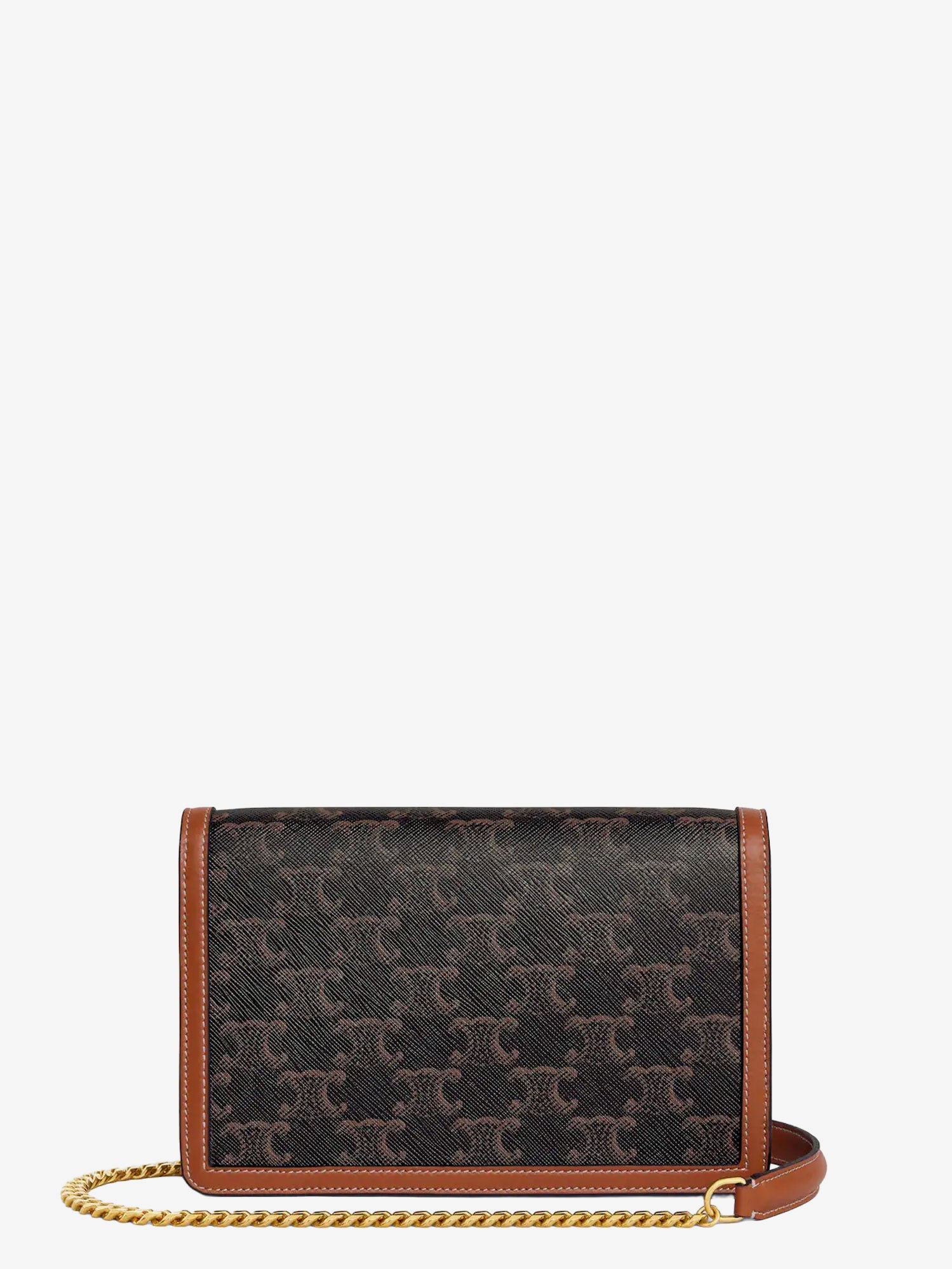 Celine Women Wallet On Chain Margo Shoulder Bag