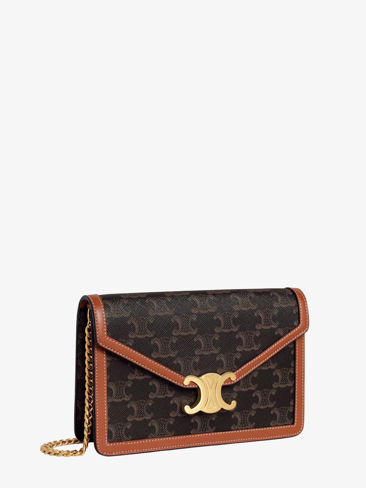 Celine Women Wallet On Chain Margo Shoulder Bag