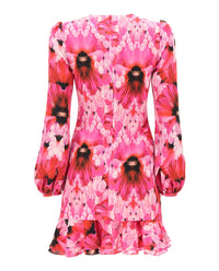 Alexander McQueen Womens Floral-Print Silk Mini Dress