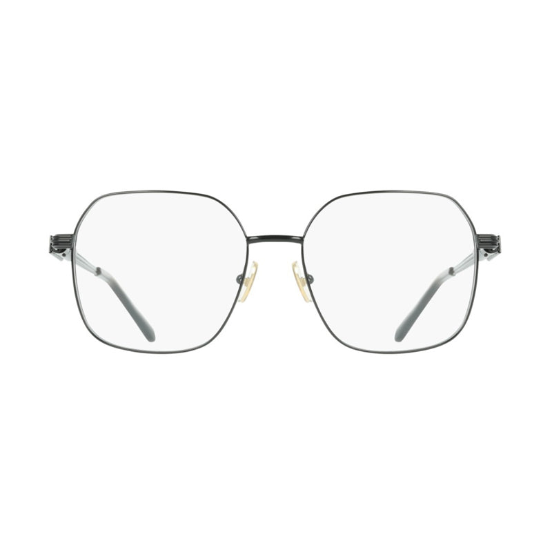 Salvatore Ferragamo ,  Frame and  Lens