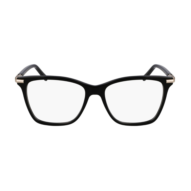 Salvatore Ferragamo ,  Frame and  Lens