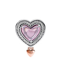 Pandora Pandora Moments Silver & 14K Rose Gold Plated Cz Two-Tone Openwork Mum & Heart