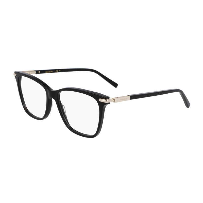 Salvatore Ferragamo ,  Frame and  Lens