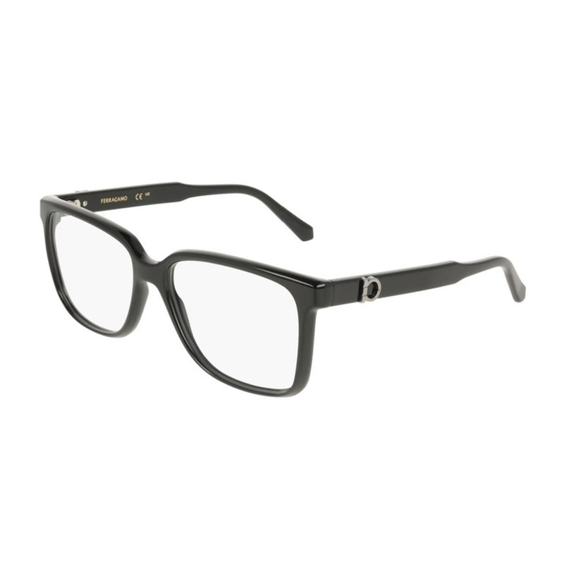 Salvatore Ferragamo ,  Frame and  Lens