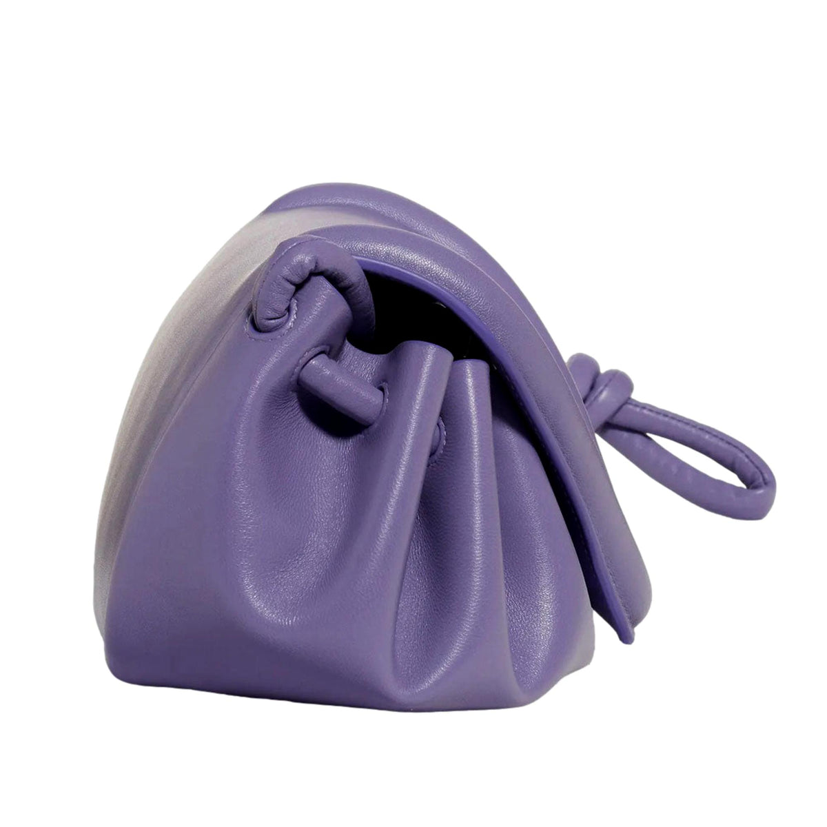 67bf25022007ac507d85c2de_bottega-veneta-658521-purple-4-clipped-rev-1_1789411757767.jpeg