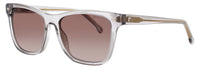 Carrera Carrera Sunglasses Brown