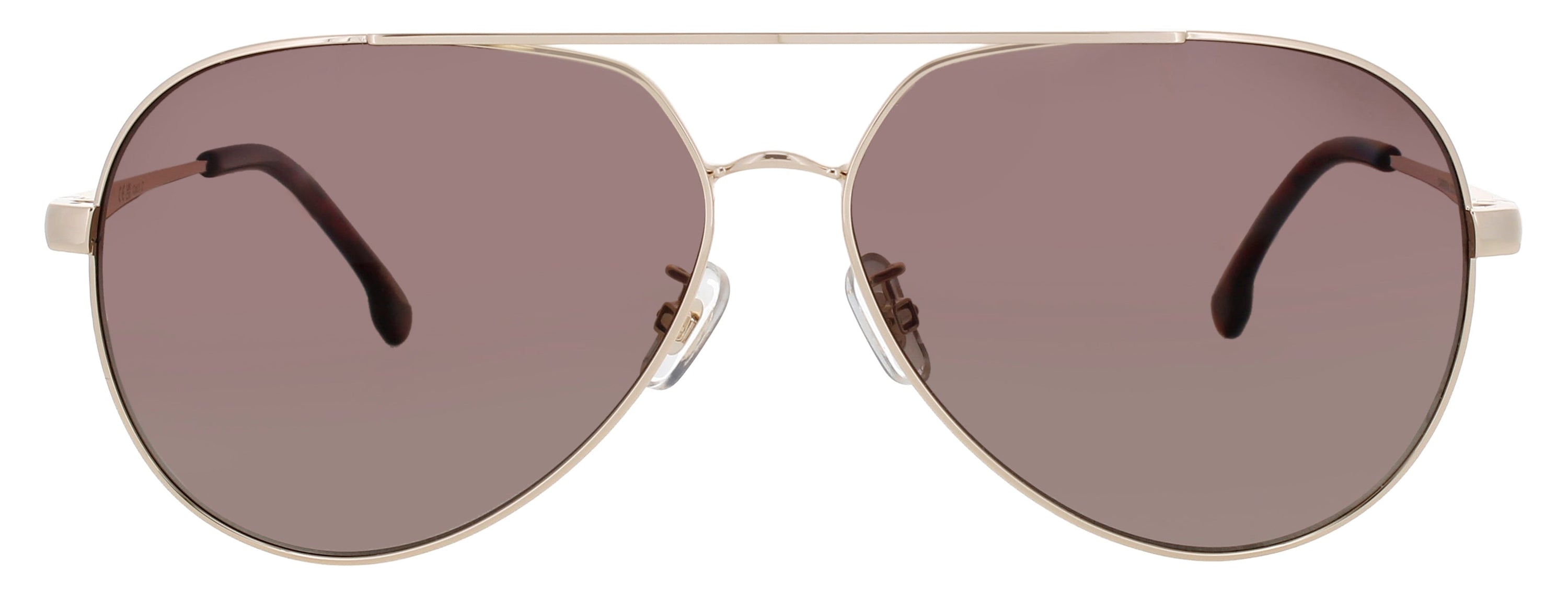 Carrera Carrera Sunglasses Brown