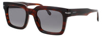 Carrera Carrera Sunglasses Brown