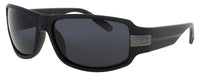 Champion Champion Sunglasses Gray