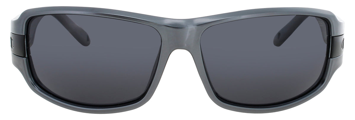 Champion Champion Sunglasses Gray