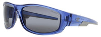 Champion Champion Sunglasses Gray