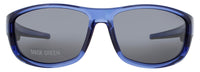 Champion Champion Sunglasses Gray