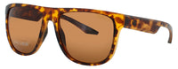 Champion Champion Sunglasses Brown