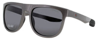 Champion Champion Sunglasses Gray