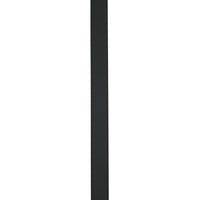 Gucci Gucci Black Belts Women