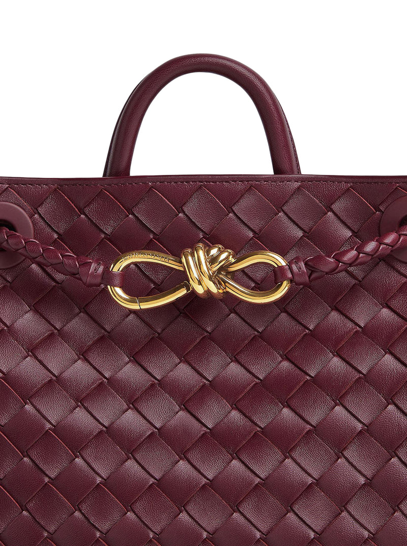 Bottega Veneta Bottega Veneta Women Andiamo Small Bag