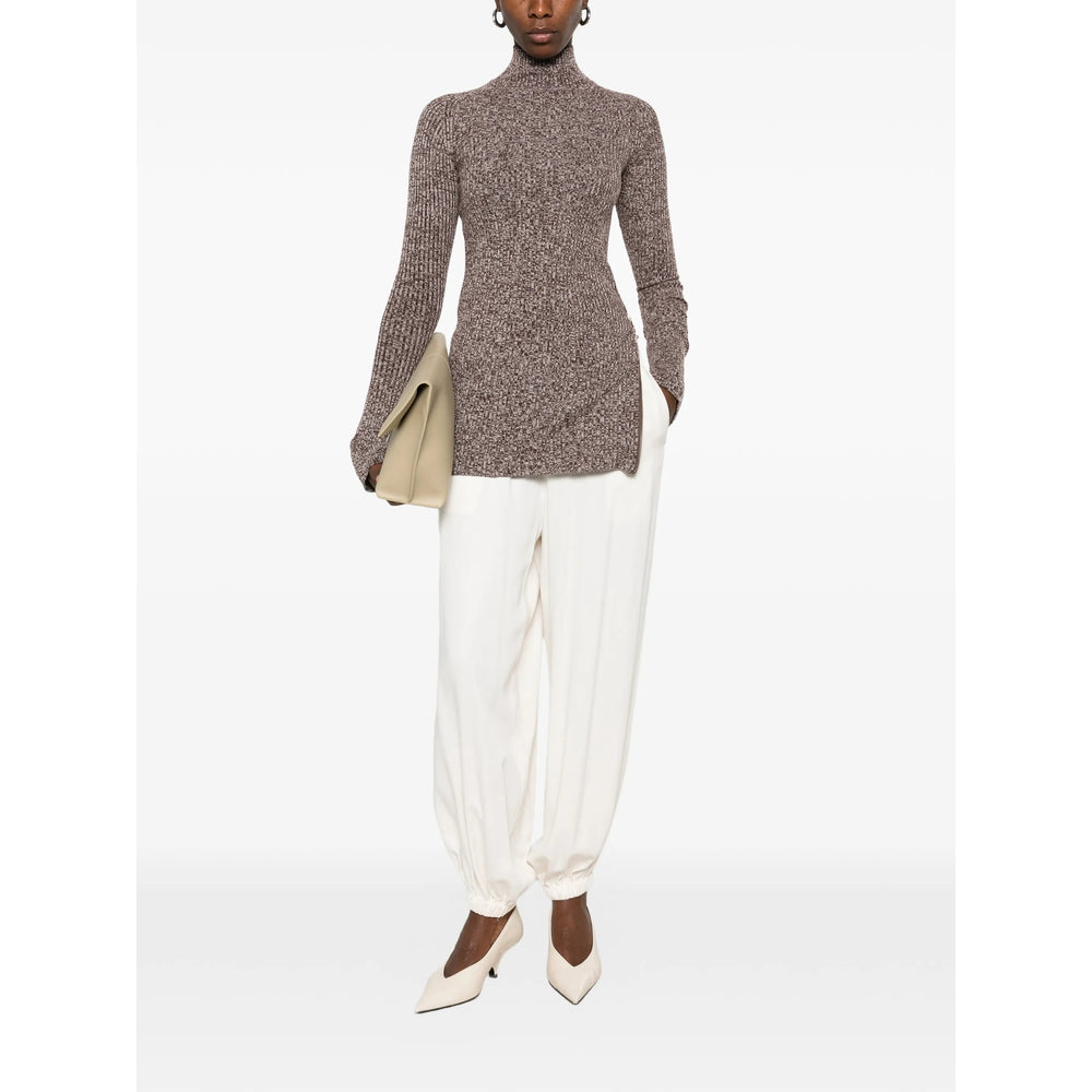 Sportmax Brown Knitwear - Jumpers Women
