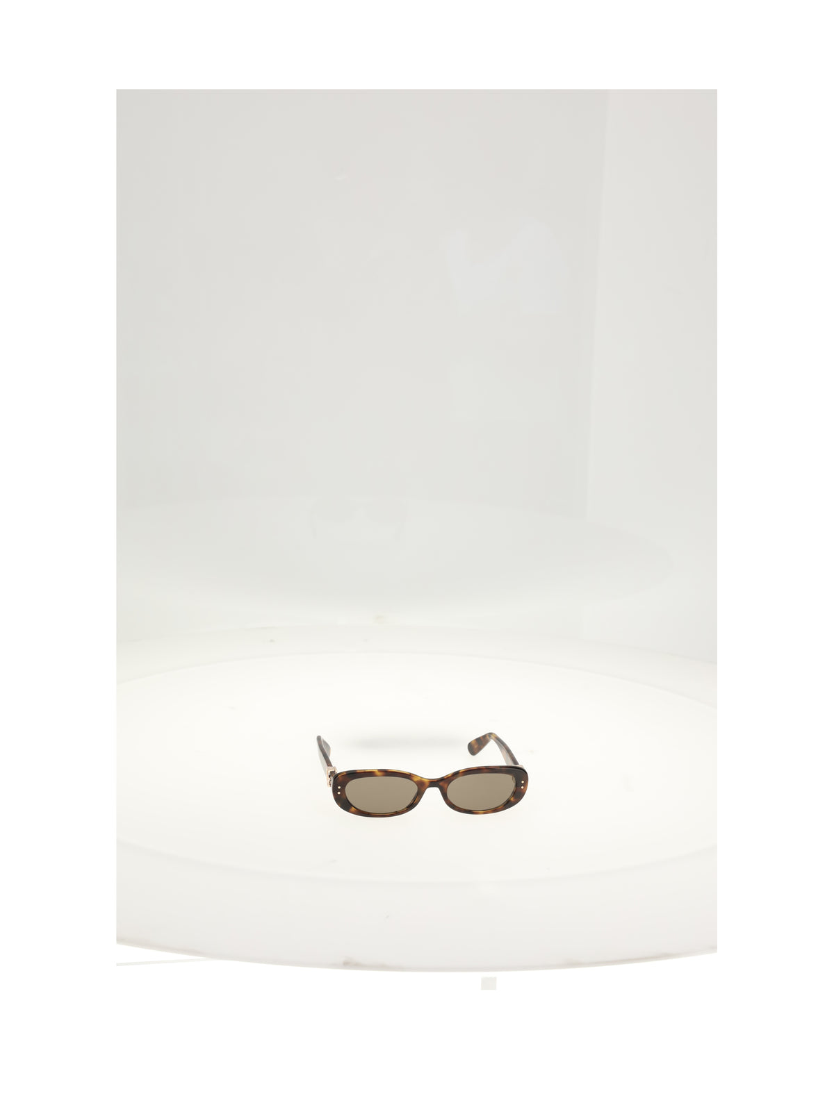 Dior Women Sunglasses